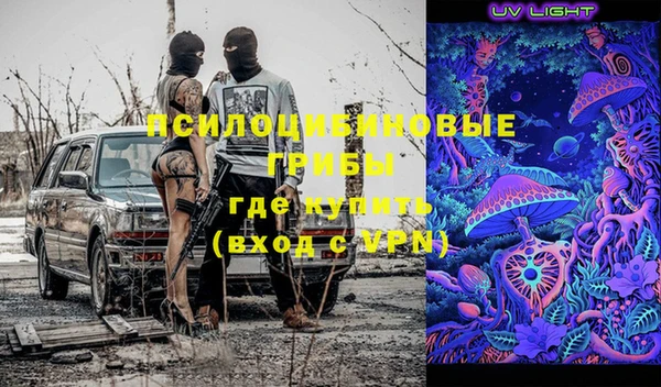 ГАЛЛЮЦИНОГЕННЫЕ ГРИБЫ Арсеньев