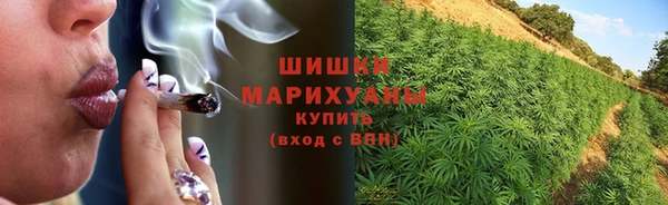 ГАЛЛЮЦИНОГЕННЫЕ ГРИБЫ Арсеньев
