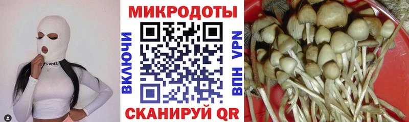 Псилоцибиновые грибы Magic Shrooms  Советск 