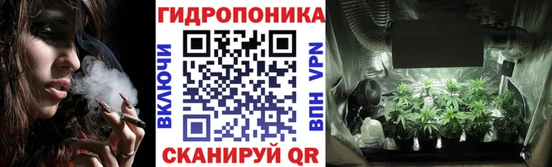 площадка какой сайт  Советск  МАРИХУАНА семена 